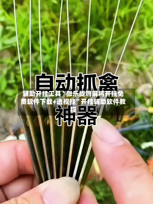 辅助开挂工具“微乐捉鸡麻将开挂免费软件下载+透视挂”开挂辅助软件教程-第1张图片