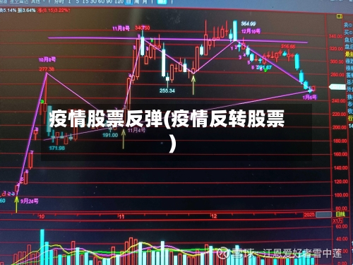 疫情股票反弹(疫情反转股票)