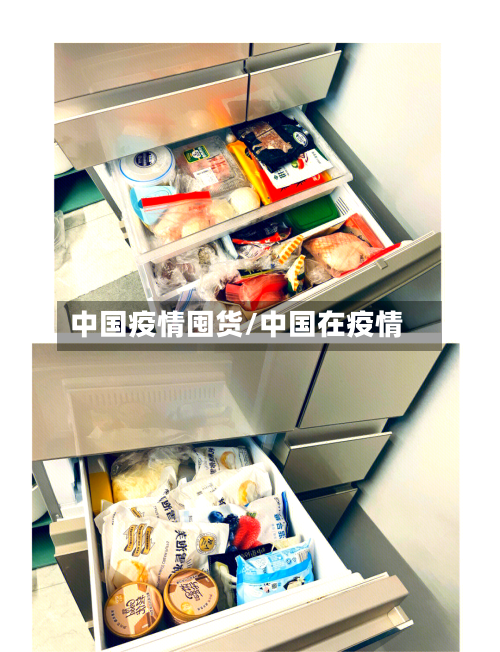 中国疫情囤货/中国在疫情