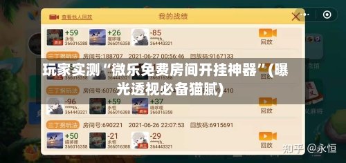 玩家实测“微乐免费房间开挂神器”(曝光透视必备猫腻)