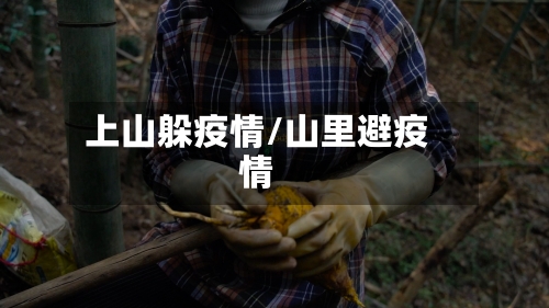 上山躲疫情/山里避疫情