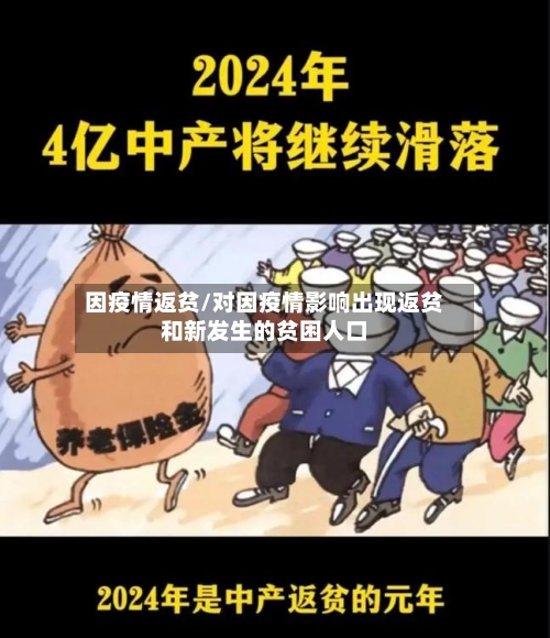 因疫情返贫/对因疫情影响出现返贫和新发生的贫困人口-第1张图片
