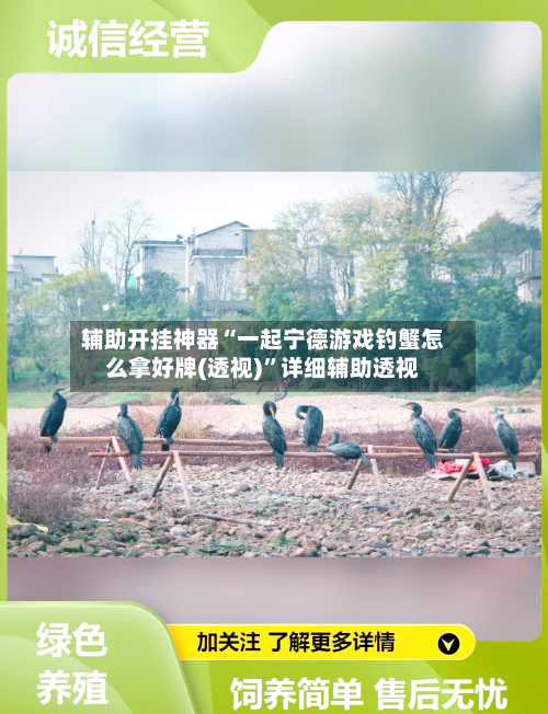 辅助开挂神器“一起宁德游戏钓蟹怎么拿好牌(透视)”详细辅助透视