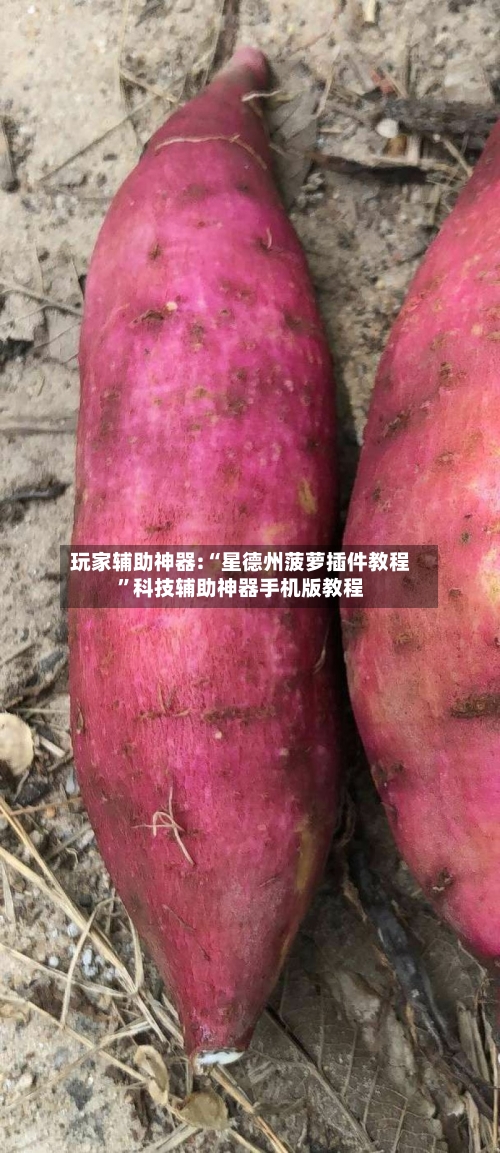 玩家辅助神器:“星德州菠萝插件教程”科技辅助神器手机版教程