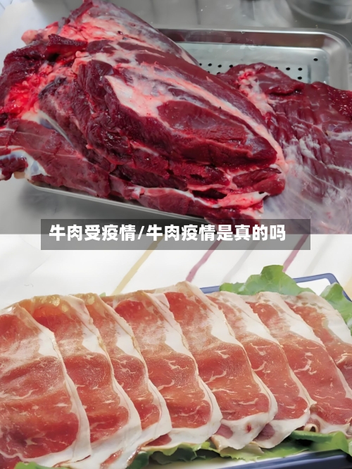 牛肉受疫情/牛肉疫情是真的吗