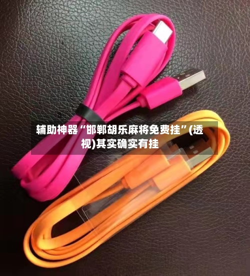 辅助神器“邯郸胡乐麻将免费挂”(透视)其实确实有挂