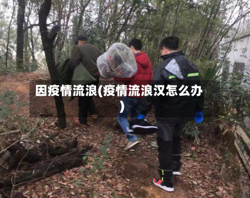 因疫情流浪(疫情流浪汉怎么办)