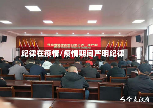 纪律在疫情/疫情期间严明纪律
