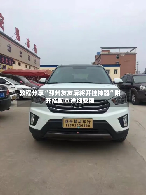 教程分享“邳州友友麻将开挂神器”附开挂脚本详细教程