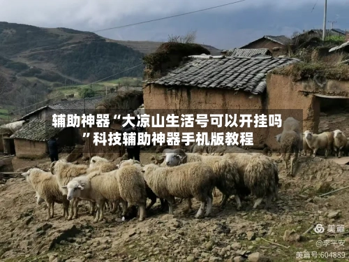 辅助神器“大凉山生活号可以开挂吗”科技辅助神器手机版教程
