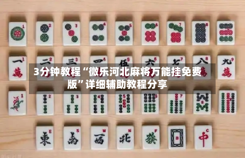 3分钟教程“微乐河北麻将万能挂免费版”详细辅助教程分享