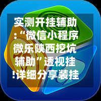 实测开挂辅助:“微信小程序微乐陕西挖坑辅助”透视挂!详细分享装挂步骤