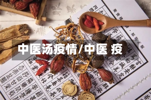 中医汤疫情/中医 疫
