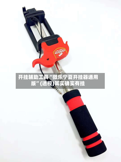 开挂辅助工具“微乐宁夏开挂器通用版”(透视)其实确实有挂-第1张图片