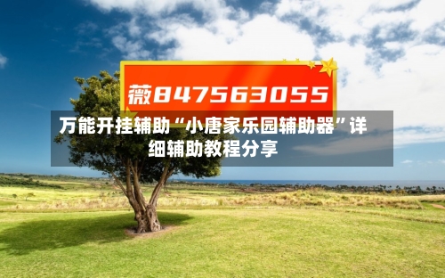 万能开挂辅助“小唐家乐园辅助器”详细辅助教程分享