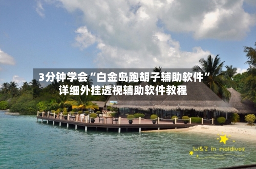 3分钟学会“白金岛跑胡子辅助软件”详细外挂透视辅助软件教程