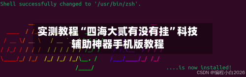 实测教程“四海大贰有没有挂”科技辅助神器手机版教程
