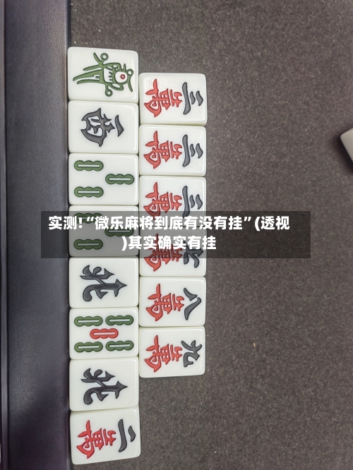 实测!“微乐麻将到底有没有挂”(透视)其实确实有挂