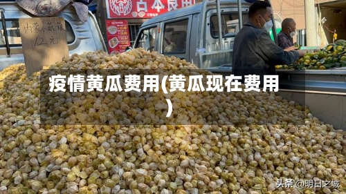 疫情黄瓜费用(黄瓜现在费用)-第1张图片