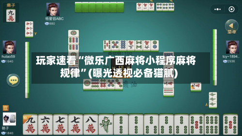 玩家速看“微乐广西麻将小程序麻将规律”(曝光透视必备猫腻)-第3张图片