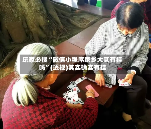 玩家必搜“微信小程序家乡大贰有挂吗”(透视)其实确实有挂