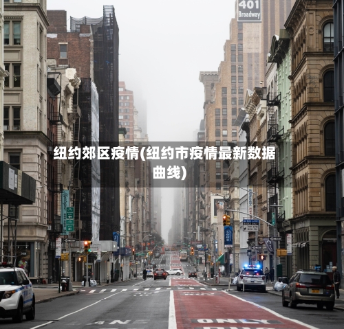 纽约郊区疫情(纽约市疫情最新数据曲线)