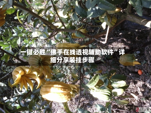 一键必胜“佛手在线透视辅助软件	”详细分享装挂步骤-第2张图片