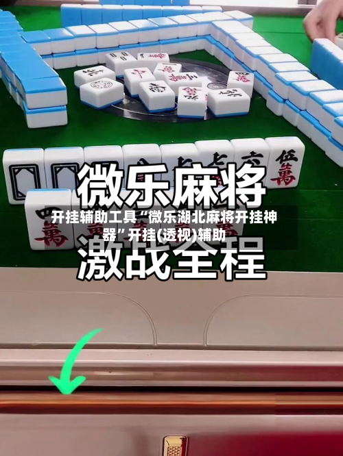 开挂辅助工具“微乐湖北麻将开挂神器”开挂(透视)辅助-第2张图片