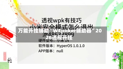 万能开挂辅助“WEpoker辅助器	”2026透视开挂-第1张图片
