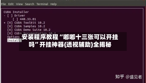 安装程序教程“嘟嘟十三张可以开挂吗”开挂神器{透视辅助}全揭秘