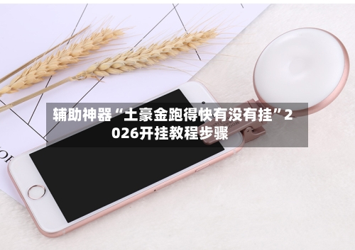 辅助神器“土豪金跑得快有没有挂”2026开挂教程步骤