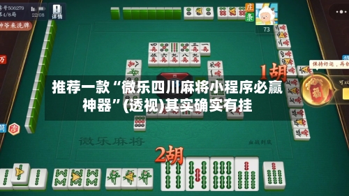 推荐一款“微乐四川麻将小程序必赢神器”(透视)其实确实有挂-第2张图片