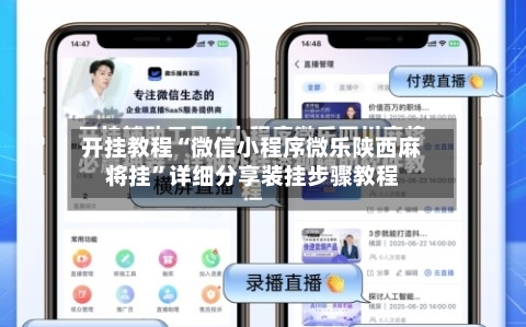 开挂教程“微信小程序微乐陕西麻将挂	”详细分享装挂步骤教程-第2张图片