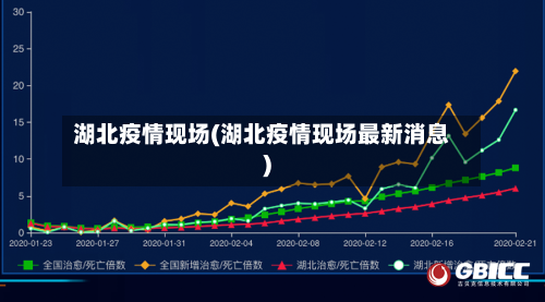 湖北疫情现场(湖北疫情现场最新消息)