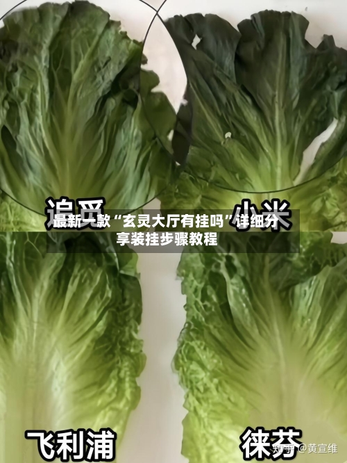 最新一款“玄灵大厅有挂吗”详细分享装挂步骤教程