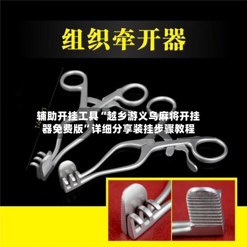 辅助开挂工具“越乡游义乌麻将开挂器免费版”详细分享装挂步骤教程-第3张图片