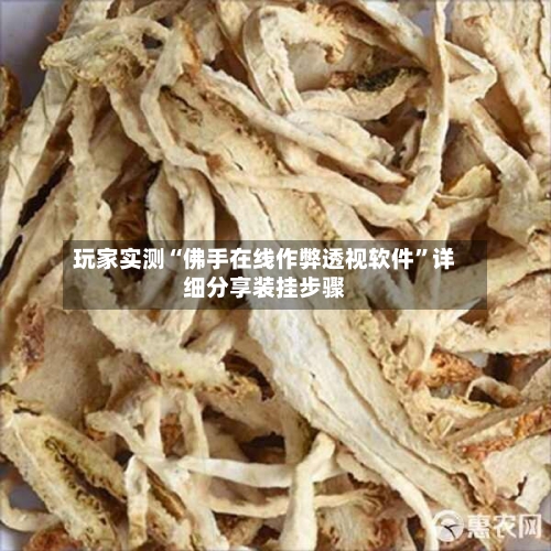 玩家实测“佛手在线作弊透视软件”详细分享装挂步骤