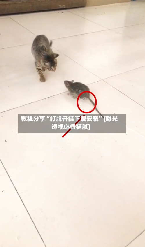 教程分享“打牌开挂下载安装”(曝光透视必备猫腻)-第1张图片