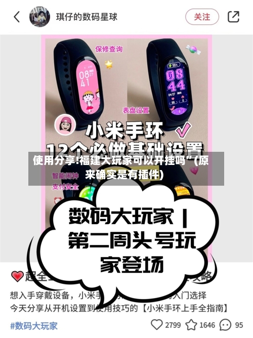 使用分享!福建大玩家可以开挂吗”(原来确实是有插件)