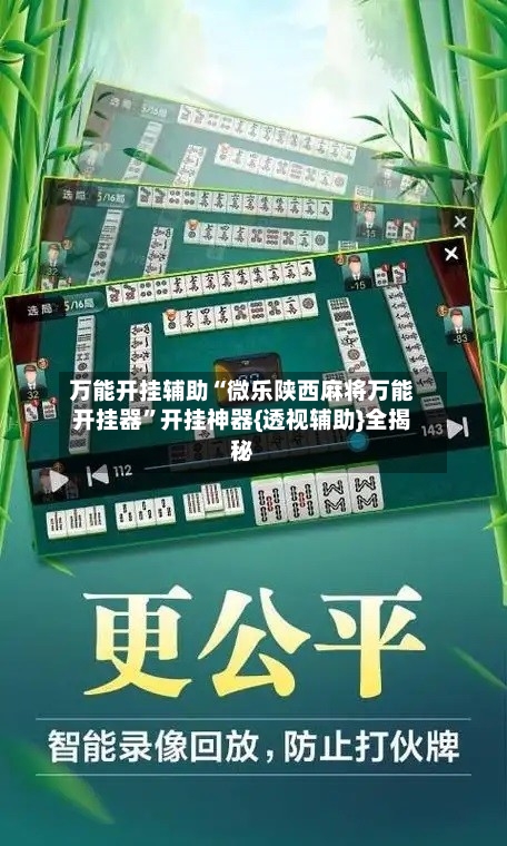 万能开挂辅助“微乐陕西麻将万能开挂器”开挂神器{透视辅助}全揭秘-第2张图片
