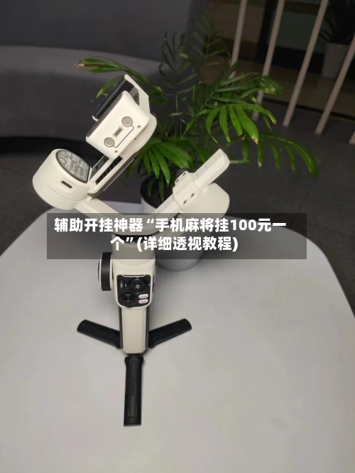 辅助开挂神器“手机麻将挂100元一个”(详细透视教程)-第2张图片