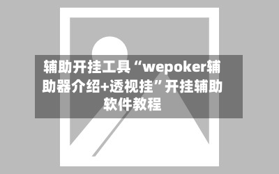 辅助开挂工具“wepoker辅助器介绍+透视挂”开挂辅助软件教程