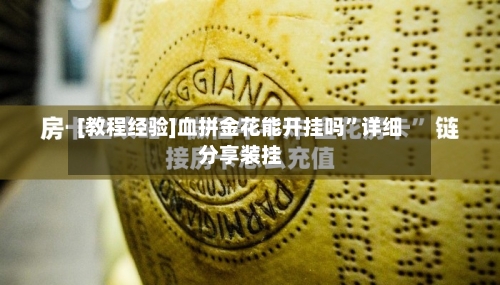 [教程经验]血拼金花能开挂吗	”详细分享装挂-第1张图片