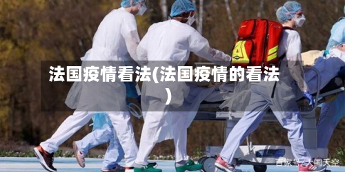 法国疫情看法(法国疫情的看法)