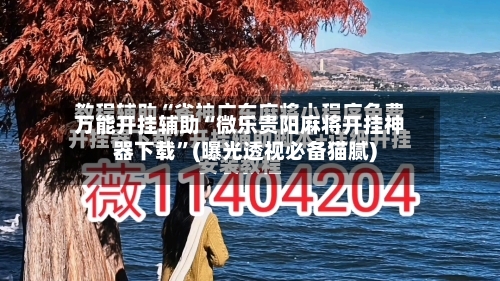 万能开挂辅助“微乐贵阳麻将开挂神器下载”(曝光透视必备猫腻)