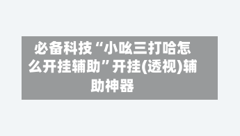 必备科技“小吆三打哈怎么开挂辅助”开挂(透视)辅助神器-第1张图片