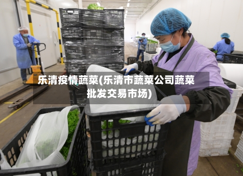 乐清疫情蔬菜(乐清市蔬菜公司蔬菜批发交易市场)