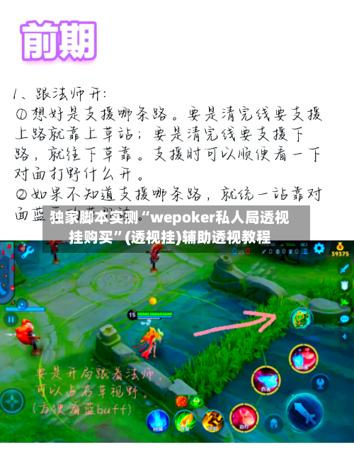独家脚本实测“wepoker私人局透视挂购买	”(透视挂)辅助透视教程-第1张图片
