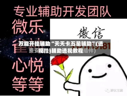 万能开挂辅助“天天卡五星辅助”(透视挂)辅助透视教程-第1张图片