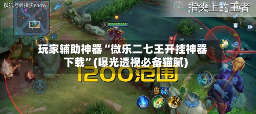 玩家辅助神器“微乐二七王开挂神器下载”(曝光透视必备猫腻)